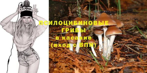 a pvp Арсеньев