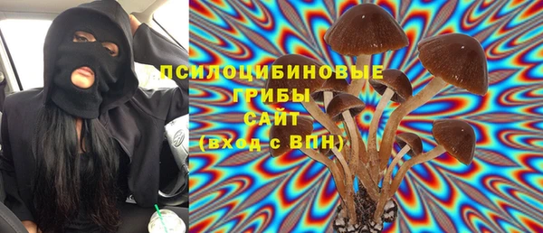 a pvp Арсеньев