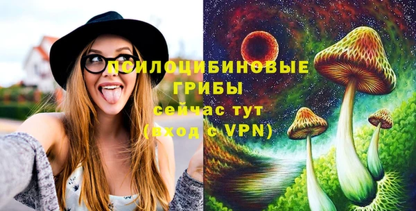 a pvp Арсеньев