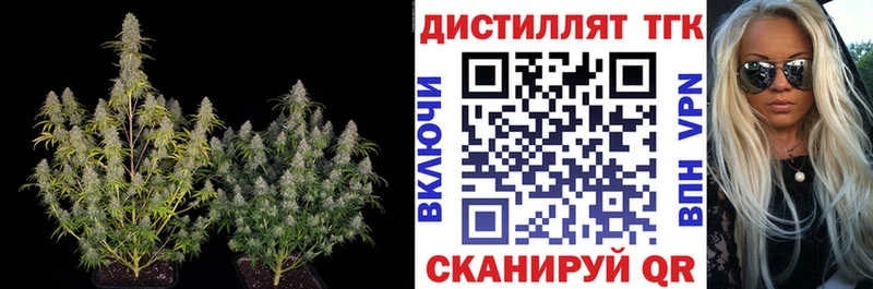 Дистиллят ТГК гашишное масло  блэк спрут как войти  Стародуб 