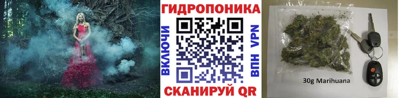 ОМГ ОМГ ТОР  Стародуб  МАРИХУАНА MAZAR 